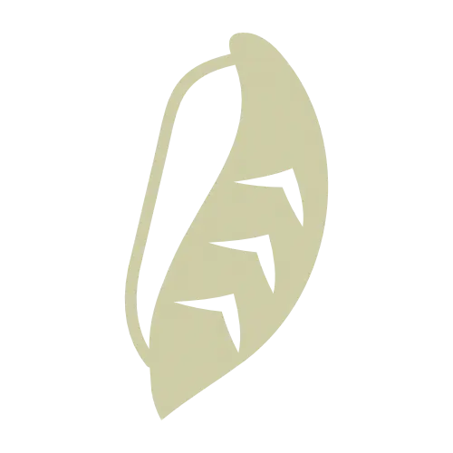 nutrimama ikona omega 3 riba